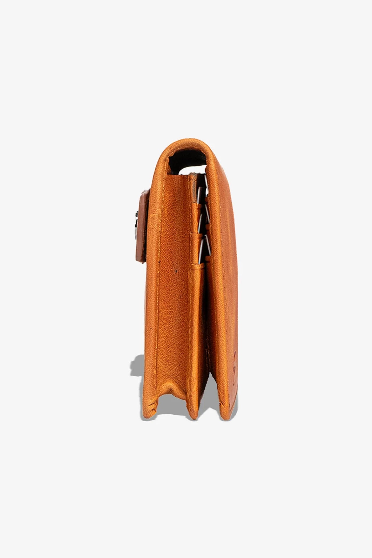 Lats Hakiki Deri Portföy